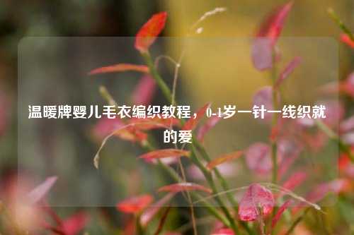 温暖牌婴儿毛衣编织教程,0-1岁一针一线织就的爱