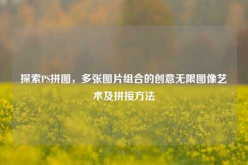 探索PS拼图，多张图片组合的创意无限图像艺术及拼接方法