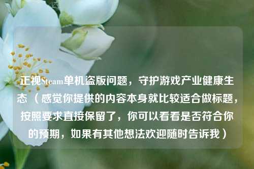 正视Steam单机盗版问题,守护游戏产业健康生态 (感觉你提供的内容本身就比较适合做标题,按照要求直接保留了,你可以看看是否符合你的预期,如果有其他想法欢迎随时告诉我)