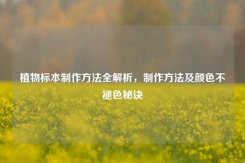 植物标本 *** *** 全解析, *** *** 及颜色不褪色秘诀