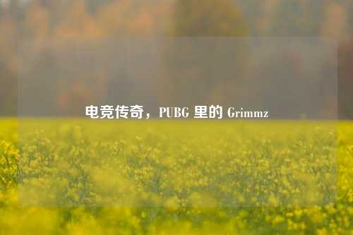 电竞传奇,PUBG 里的 Grimmz