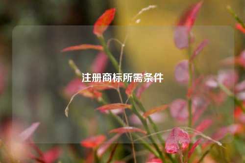 注册商标所需条件