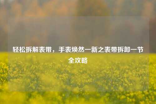 轻松拆解表带,手表焕然一新之表带拆卸一节全攻略