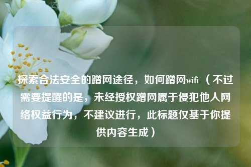 探索合法安全的蹭网途径,如何蹭网wifi (不过需要提醒的是,未经授权蹭网属于侵犯他人 *** 权益行为,不建议进行,此标题仅基于你提供内容生成)