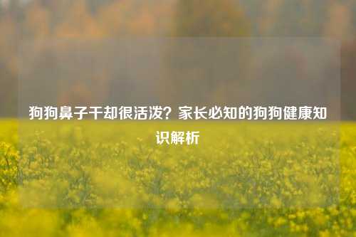 狗狗鼻子干却很活泼?家长必知的狗狗健康知识解析