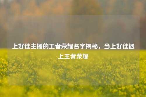 上好佳主播的王者荣耀名字揭秘,当上好佳遇上王者荣耀