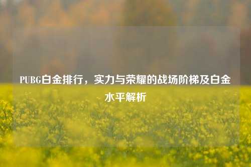 PUBG白金排行，实力与荣耀的战场阶梯及白金水平解析