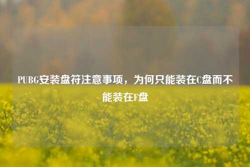 PUBG安装盘符注意事项,为何只能装在C盘而不能装在F盘