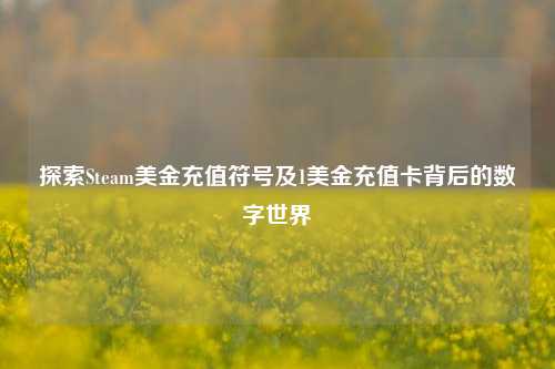 探索Steam美金充值符号及1美金充值卡背后的数字世界