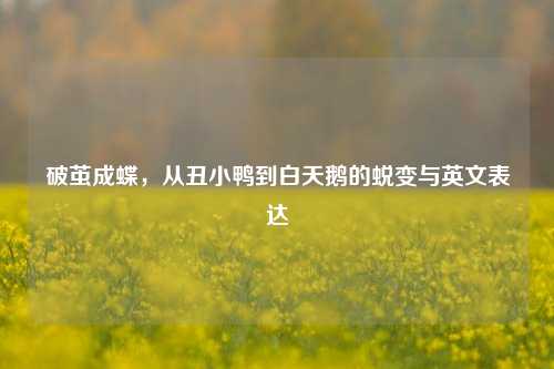 破茧成蝶，从丑小鸭到白天鹅的蜕变与英文表达