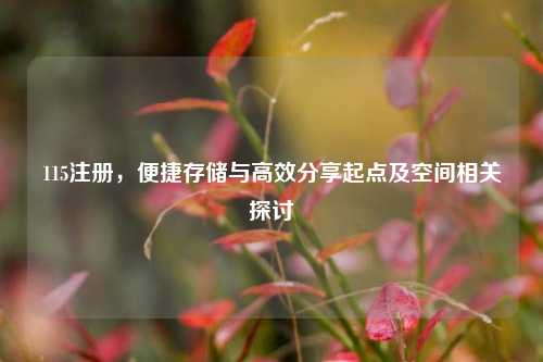 115注册，便捷存储与高效分享起点及空间相关探讨