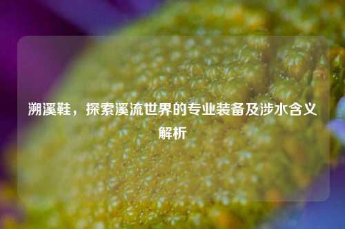 溯溪鞋，探索溪流世界的专业装备及涉水含义解析