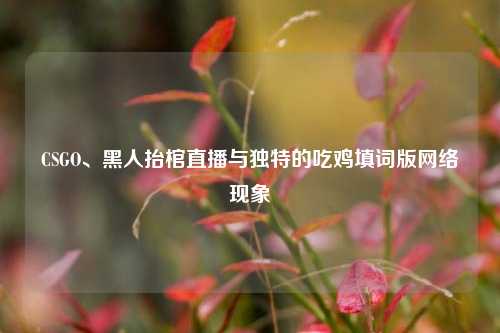 CSGO、黑人抬棺直播与独特的吃鸡填词版网络现象