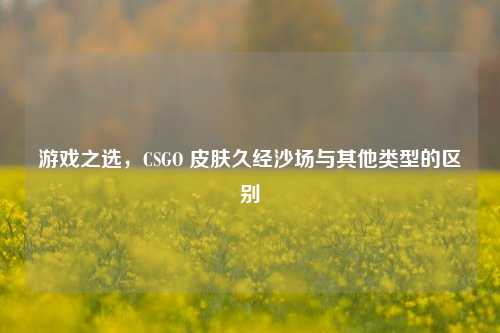 游戏之选，CSGO 皮肤久经沙场与其他类型的区别