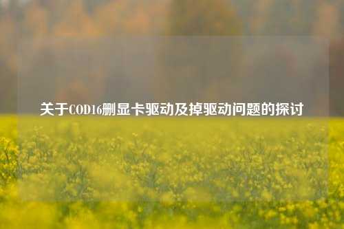 关于COD16删显卡驱动及掉驱动问题的探讨