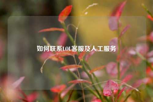 如何联系LOL客服及人工服务