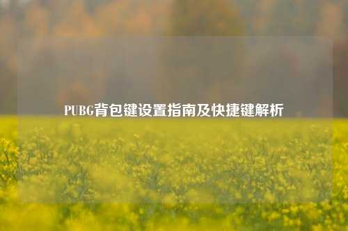 PUBG背包键设置指南及快捷键解析