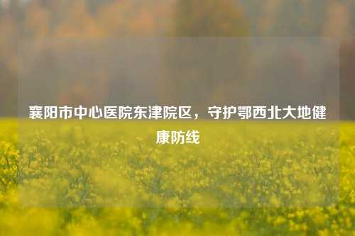 襄阳市中心医院东津院区，守护鄂西北大地健康防线