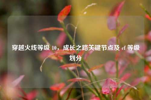 穿越火线等级 10，成长之路关键节点及 cf 等级划分