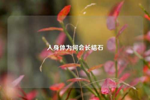 人身体为何会长结石