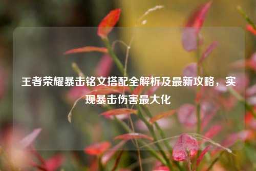 王者荣耀暴击铭文搭配全解析及最新攻略,实现暴击伤害最大化