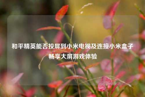 和平精英能否投屏到小米电视及连接小米盒子畅享大屏游戏体验