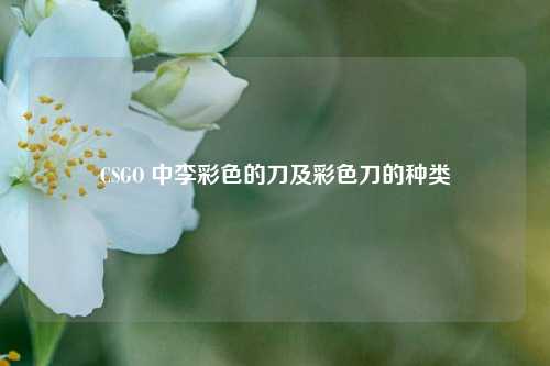 CSGO 中李彩色的刀及彩色刀的种类