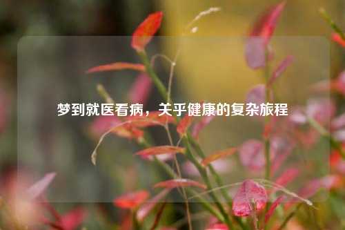 梦到就医看病，关乎健康的复杂旅程