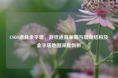 CSGO道具金字塔,游戏道具策略与层级结构及金字塔地图深度剖析
