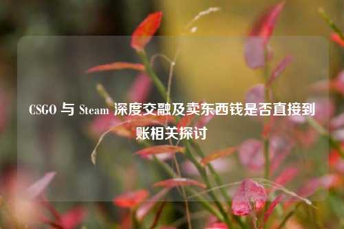 CSGO 与 Steam 深度交融及卖东西钱是否直接到账相关探讨
