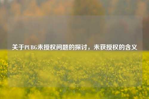 关于PUBG未授权问题的探讨,未获授权的含义