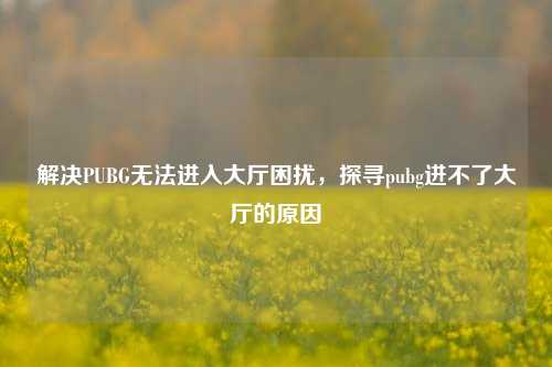 解决PUBG无法进入大厅困扰,探寻pubg进不了大厅的原因