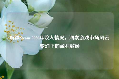 解读Steam 2020年收入情况,洞察游戏市场风云变幻下的盈利数额