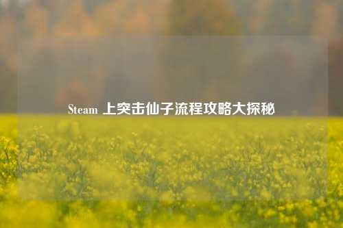 Steam 上突击仙子流程攻略大探秘