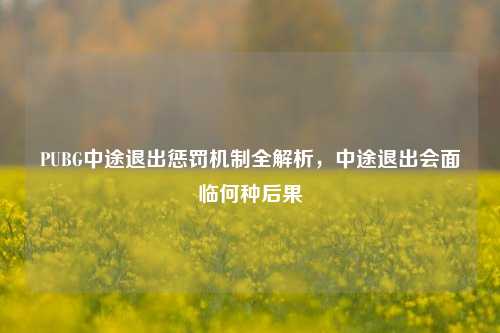 PUBG中途退出惩罚机制全解析,中途退出会面临何种后果