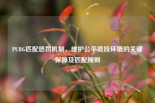 PUBG匹配惩罚机制,维护公平竞技环境的关键保障及匹配规则