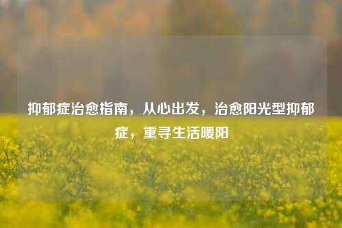 抑郁症治愈指南,从心出发,治愈阳光型抑郁症,重寻生活暖阳