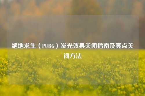 绝地求生(PUBG)发光效果关闭指南及亮点关闭方法