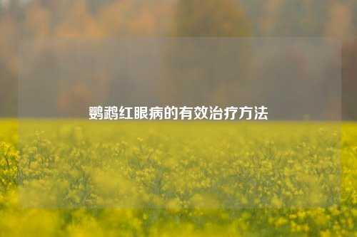 鹦鹉红眼病的有效治疗方法