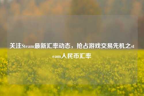关注Steam最新汇率动态，抢占游戏交易先机之steam人民币汇率