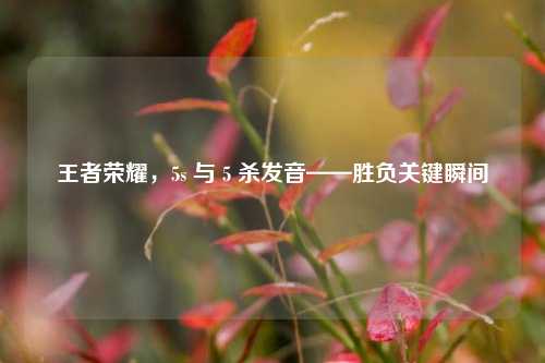 王者荣耀,5s 与 5 杀发音——胜负关键瞬间
