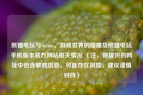 熊猫电玩与Steam,游戏世界的碰撞及熊猫电玩手机版本官方网站相关情况 (注,你提供的网址中包含敏感信息,可能存在风险,建议谨慎对待)