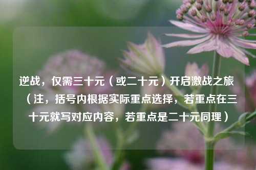 逆战,仅需三十元(或二十元)开启激战之旅 (注,括号内根据实际重点选择,若重点在三十元就写对应内容,若重点是二十元同理)