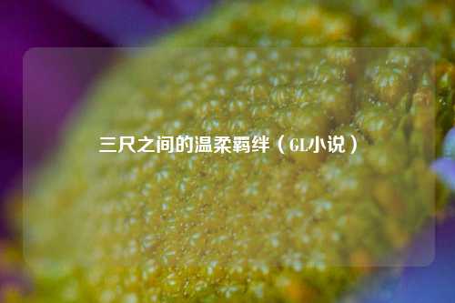 三尺之间的温柔羁绊(GL小说)