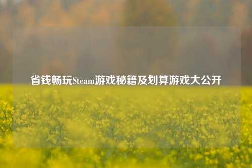 省钱畅玩Steam游戏秘籍及划算游戏大公开
