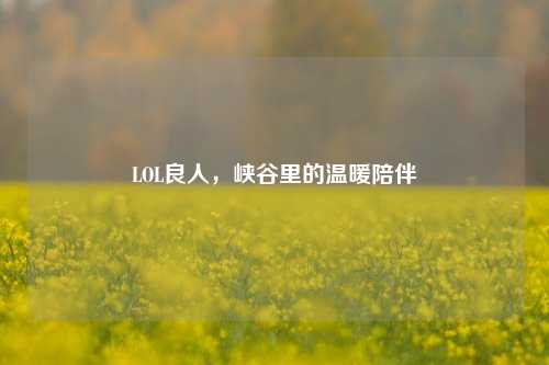 LOL良人,峡谷里的温暖陪伴