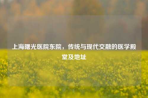 上海曙光医院东院，传统与现代交融的医学殿堂及地址