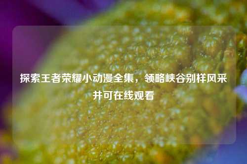 探索王者荣耀小动漫全集，领略峡谷别样风采并可在线观看
