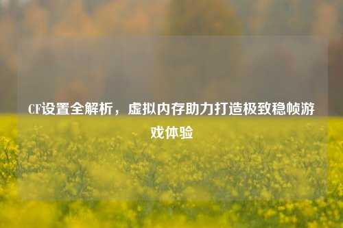 CF设置全解析，虚拟内存助力打造极致稳帧游戏体验