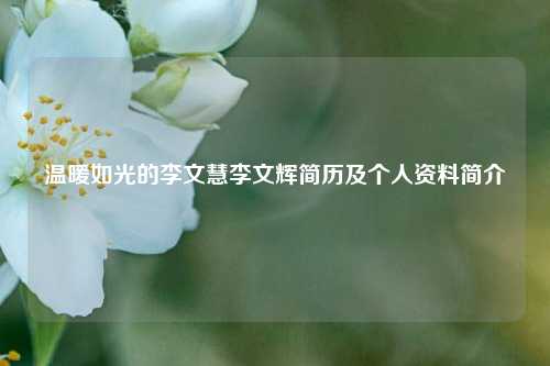 温暖如光的李文慧李文辉简历及个人资料简介
